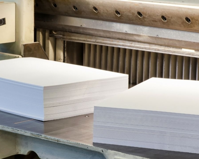 Jak wybrać papier do druku (rodzaje i zastosowanie)